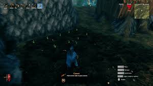 Bone meal can be used on carrots. How And Where To Plant Seeds In Valheim Pro Game Guides