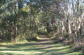 Jun 06, 2021 · trailhead: Shangri La Campground Cross Florida Greenway Fl 2 Hipcamper Reviews And 2 Photos