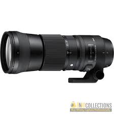 Canon 100 400 Ii With 1 4 Extender Sigma 150 600mm F 5 6 3 Dg Os Hsm C Nikon Dslr Camera Sigma Lenses Camera Gear