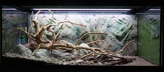 We are following the current cdc guidelines for sanitation and. Erstes 240l Aquascape Flowgrow