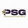 Paragon Solutions Group logo