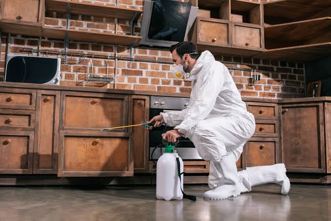Where Does Pest Control Spray In House? - Poor Boy Termite