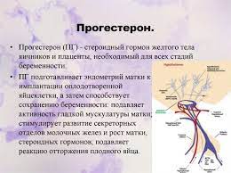 We did not find results for: Suhu Pada Wanita Hamil Dalam 1 Trimester Apa Yang Perlu Dilakukan Pada Suhu Badan Tinggi Dan 37 Darjah Norma Atau Tidak