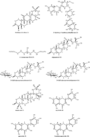 Image result for Triclisia