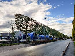 Agence Aramisauto Les Ulis Concessionnaire Mandataire Auto