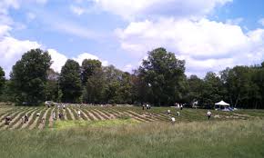 Pick your own and the corn maze are both located at our main orchard in. Welcome To Deeply Rooted Farms Llc