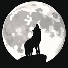Wolf Tattoo Meanings Tezhip Desenler