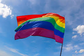 Pride flags are a diverse set of flags that are used for representing and celebrating a gender or sexual identity that is fully part of the lgbtq community. Rainbow Pride Flag To Fly Over Square Mile Landmarks Financial News