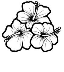 Hummingbird And Hibiscus Drawing Bing Images Hibiscus Drawing Flower Coloring Pages Flower Drawing