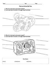Learning the names of some plant cell parts can be challenging, but this quiz game can help. Animal And Plant Cells Test Worksheets Teaching Resources Tpt