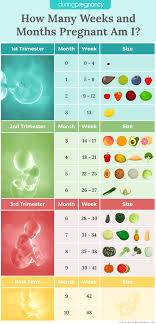 How Many Months Pregnant Am I If Im 29 Weeks If these calculations are making you go nuts, there is a simple breakdown of how the pregnancy weeks, months if you are in your fifth week of pregnancy, why are you referred to as four weeks pregnant? many months pregnant am i if im 29 weeks