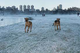 Com a previs]a do simepar, algumas famílias foram ao parque barigui para registrar o fenômeno com as crianças e. Geada Inspira Novo Tema Da Serie Fotografica Olhar Curitiba Parana G1