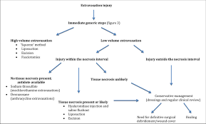 Suggested Algorithm For Approaching The Management Options