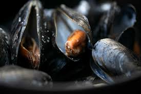 Check spelling or type a new query. Uberbackene Miesmuscheln So Gelingen Moules Gratinees
