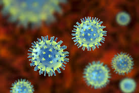 Maybe you would like to learn more about one of these? Viruses National Geographic Society