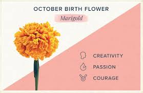 Pin On Birth Flower Tattoos