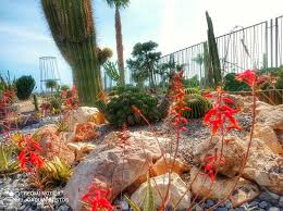 We did not find results for: Coleccion Jardin De Cactus Y Suculentas Teresa Exmo Ayto De Motril Posts Facebook