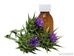 Right now, our top pick is the milk thistle by nature's bounty, herbal health supplement, supports liver health, 1000 mg, 50 softgels which feature incredible active. How Do I Choose The Best Milk Thistle Supplement