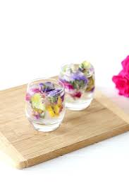 Where to buy edible flowers. Flower Power Floral Ice Cubes Edible Flowers Recipes Flower Ice Cubes Floral Ice Cubes