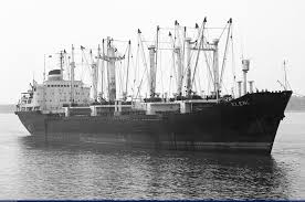 Image result for Elfenbein 1992 Fleet