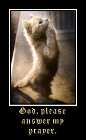 Glitter Graphics Graphic I Love Cats Glitter Graphics Prayers