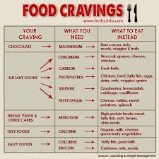 Food Cravings What You Want But What You Really Need