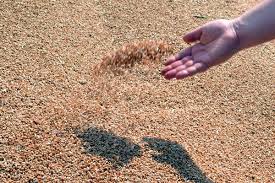 Luam teren in arenda in localitatile movilita , rosiori , dragoesti, boranesti si. Ce Trebuie SÄƒ È™tii Despre Impozitul Pe ArendÄƒ In 2016 Update