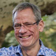 Image result for Dielsiothamnus divaricatus