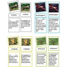 Our Zoology Sets Are Three Part Cards Which Show The Parts Of The Animals As They Really Are Through Photographs This Collectio Invertebrates Zoology Cnidaria