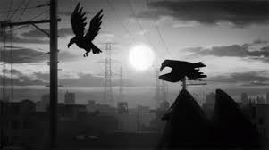 Animated Birds Flying In The Sky Gif Https Encrypted Tbn0 Gstatic Com Images Q Tbn 3aand9gcqdgcdtfiaycwd2h3j9snxk6thchv 9uslsxw Usqp Cau