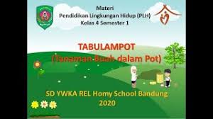 We did not find results for: Plh Tabulampot Kelas 4 Youtube