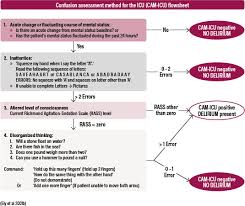 Image result for CAM-ICU