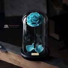 Check spelling or type a new query. Turquoise Blue Forever Rose Gift In Glass Flower Delivery Iluba Rose