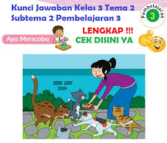 Lengkap Kunci Jawaban Kelas 3 Tema 2 Subtema 2 Pembelajaran 3 Kunci Jawaban Tematik Lengkap Terbaru Simplenews