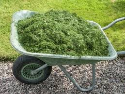 Grass Clipping Garden Mulch Using Fresh Or Dried Grass Clippings As Mulch Garden Mulch Grass Clippings Garden Compost