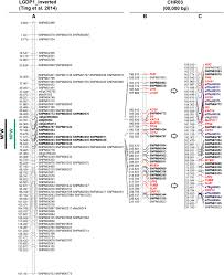 Global cargo services london limited. Putative Regulatory Candidate Genes For Qtl Linked To Fruit Traits In Oil Palm Elaeis Guineensis Jacq Springerlink