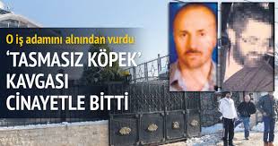 Tasmasiz Kopek Cinayeti Son Dakika Haberler