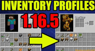 If you like doing rpg stuff this is the mod for you. Inventory Profiles Next Mod 1 16 5 1 17 Wminecraft Net