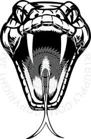 Image Result For Open Snake Mouth Snake Drawing Snake Art Open Mouth Drawing In this tutorial, we will draw snake. snake drawing snake art open mouth