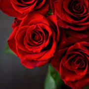 Susan Marie Sands Blessing