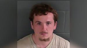 Black bear spotted in Hancock Co., KY