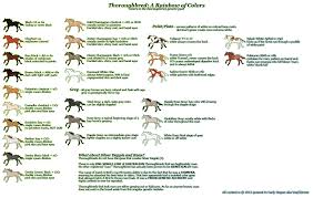 They also can have frosting. Thoroughbred Color Chart By Skirmie On Deviantart