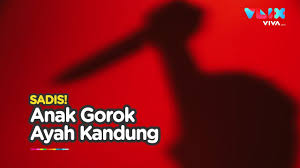 Come in, learn the word translation saudara kandung and add them to your flashcards. Sadis Anak Gorok Ayah Kandung Youtube