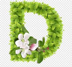 What does prenatal z advanced formula look like? Flowers Floral Design Letter Alphabet Lettering Flashcards Alphabet English Alphabet Z Floral Design Letter Alphabet Png Pngwing