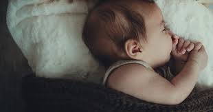 Voor de volledigheid, het is weer aan met jelka. Ook Jelka Van Houten Reageert Op Alle Steigerende Nederlanders