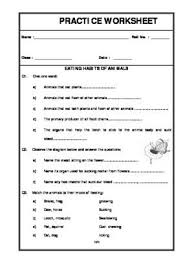 Worksheet Of Eating Habits Of Animals Animals And Their Habitats Animals Science Worksheets For Grade 3 Animal Habitats Science Worksheets