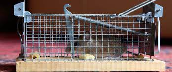 How much does a pest control technician make at francis animal and pest control in the united states? Animal Pest Control Francis Animal Pest Control