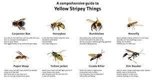 24 hour pest control services in warrington. Herold S Pest Control Home Facebook