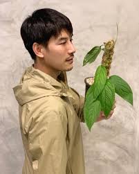 We Plant Monstera Obliqua Collection 1 Monstera Facebook