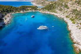 Image result for Thamnosma rhodesica